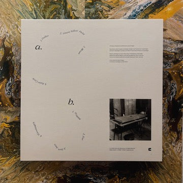 Sun Arcs (2025 REPRESS, Black BIO vinyl)