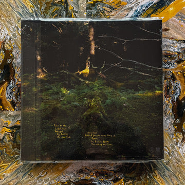 You & I Are Earth (limited edition transparent vinyl)