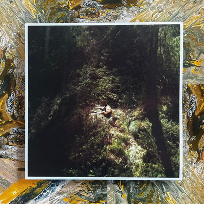 Sings Again (Limited First Edition: Transparent Clear Vinyl)