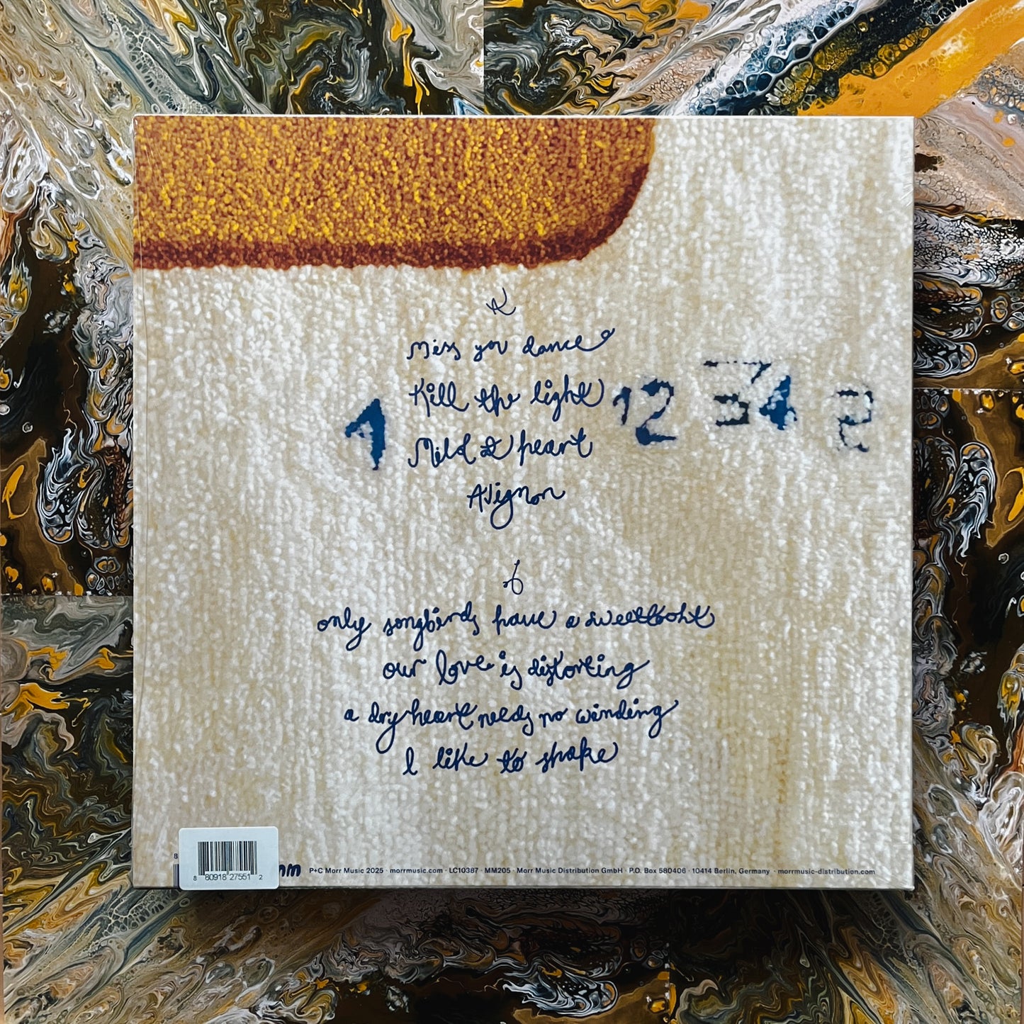 【再入荷】History of Silence (Clear, Black Vinyl)