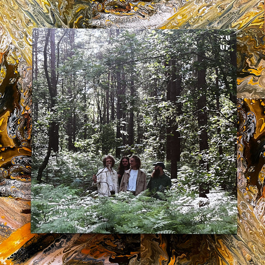 LIVE IN THE SUN - VINYL