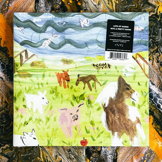 into a pretty room (Limited Edition Hazy Green b tween Clear Vinyl)