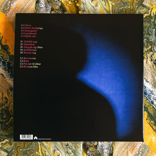 Dýrð í dauðaþögn 10th anniversary (Black Vinyl)